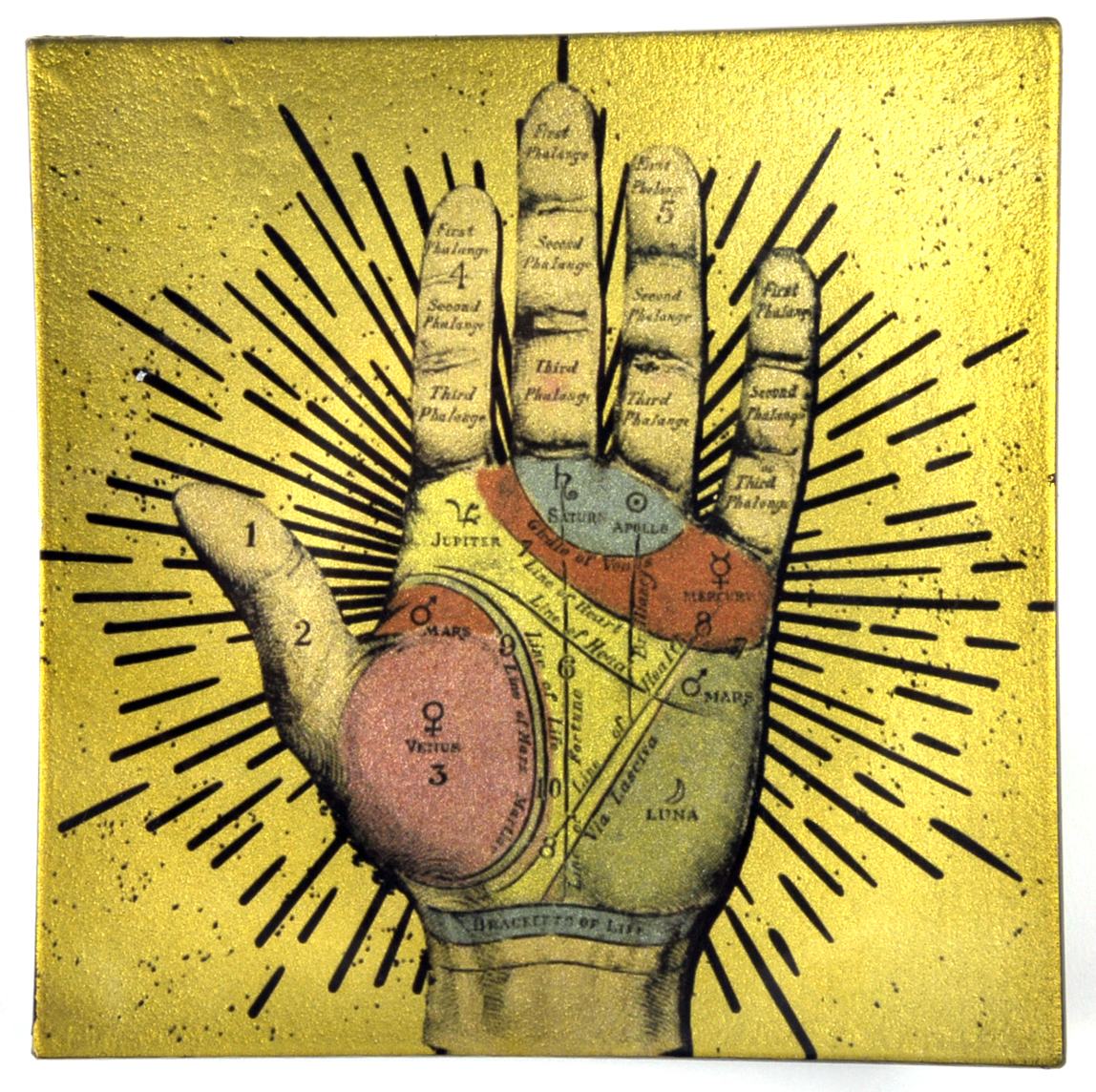 Astrology palm reading 